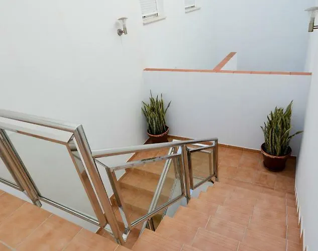 Mariposa Conil De La Frontera